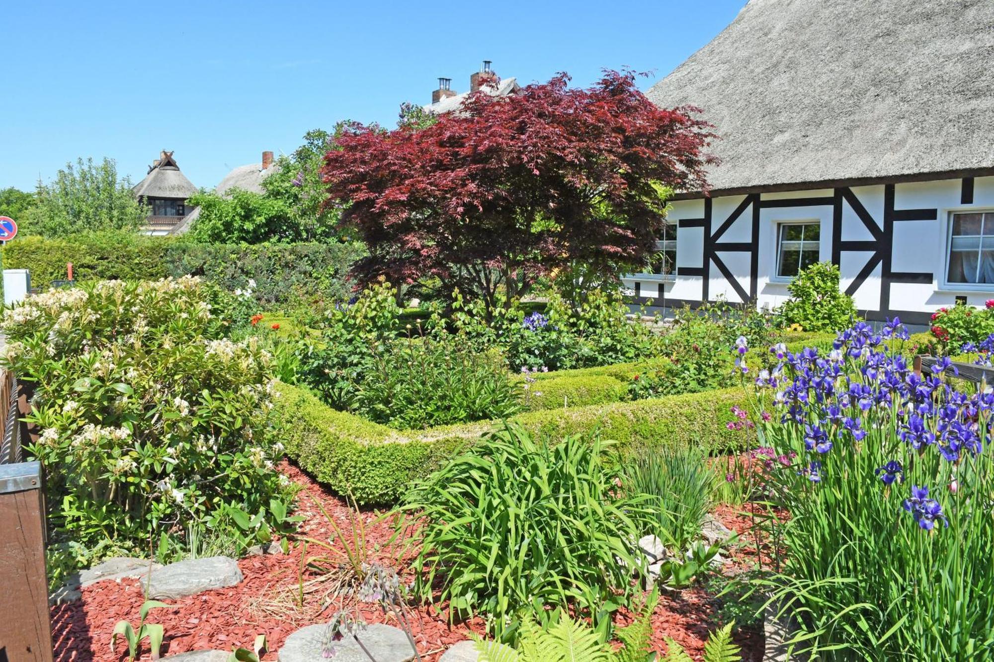 Ferienhaus Am Sund Altefähr Exteriör bild